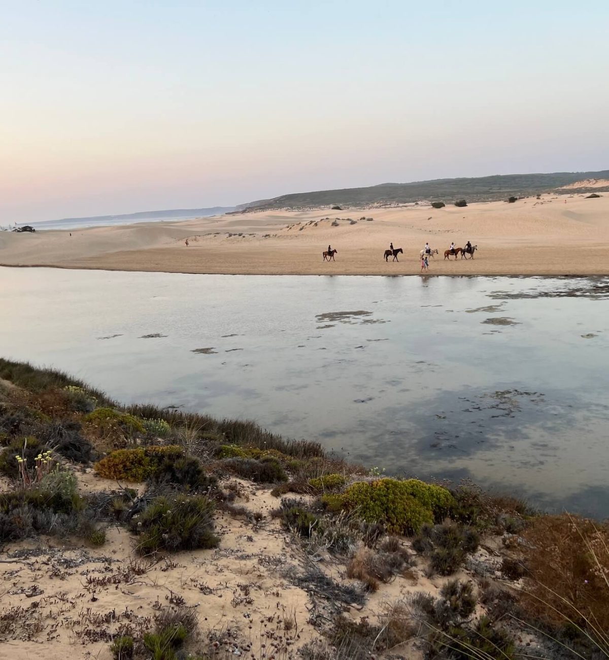 dunes-horse-ridding-carrapateira